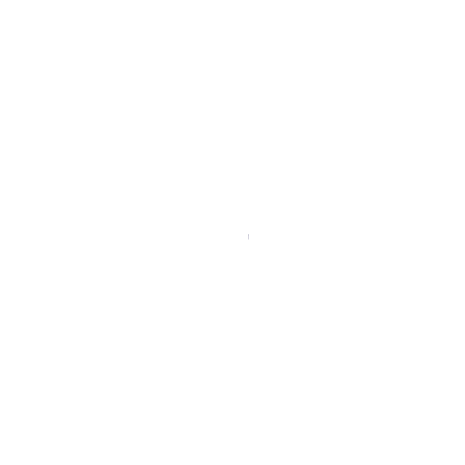 white logo for the Fulton County Sheriff's Office