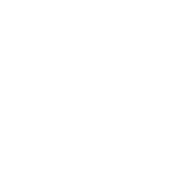 white icon representing translation services