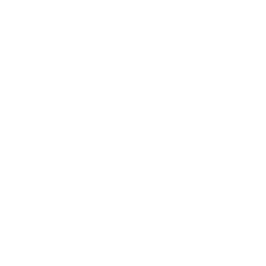 white icon representing digital library services