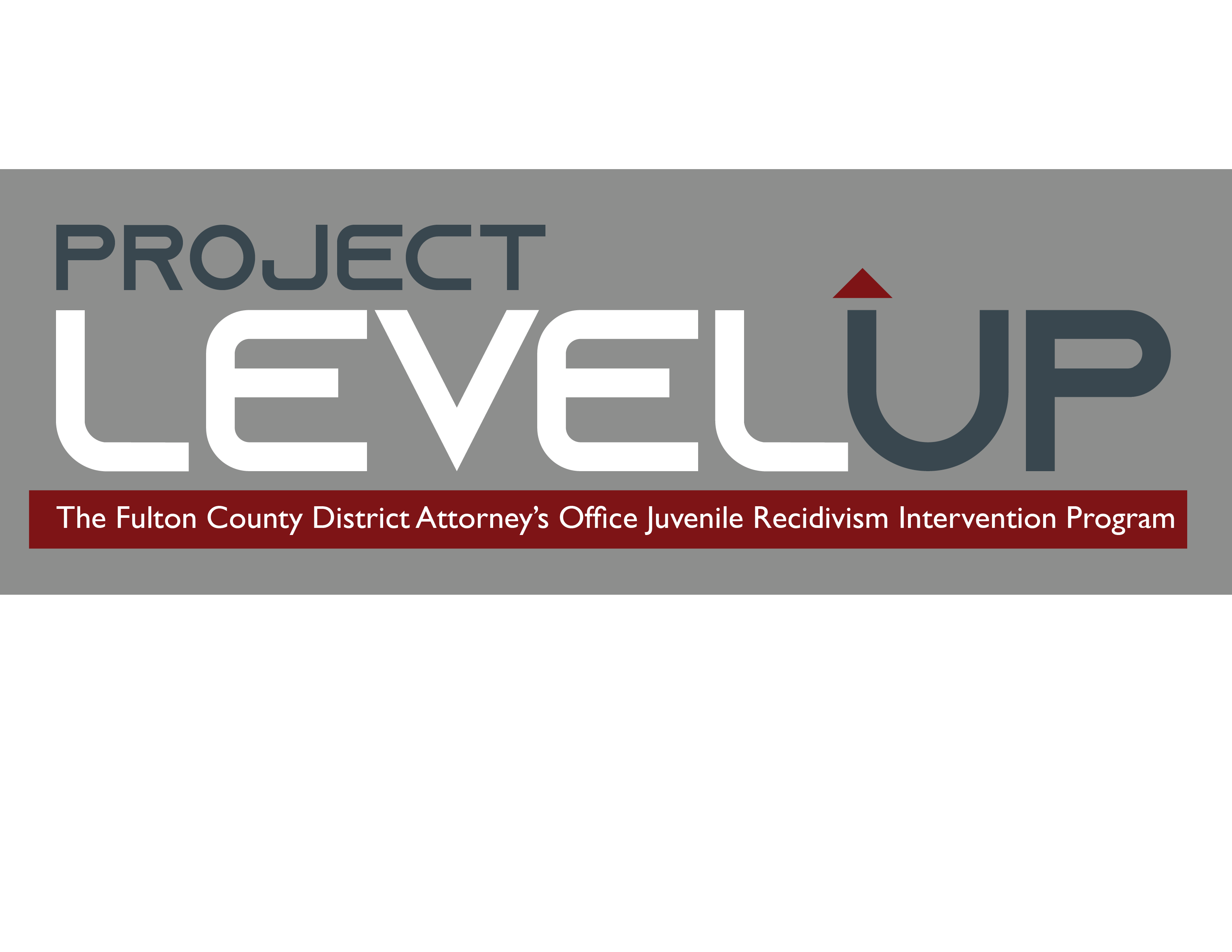 Project Level Up logo