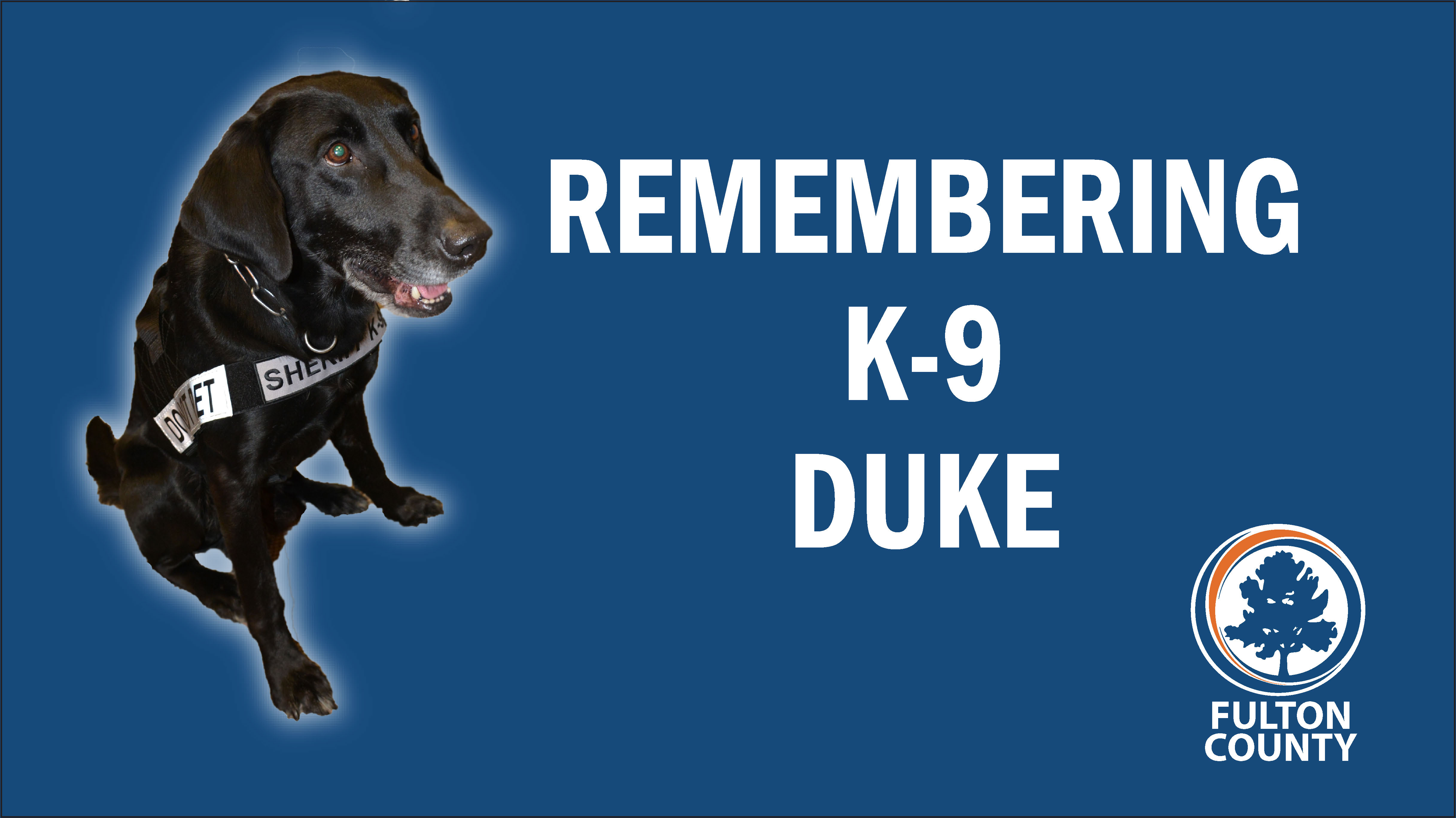 Remembering K-9 Duke